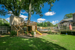 Tree House & Tree Forts